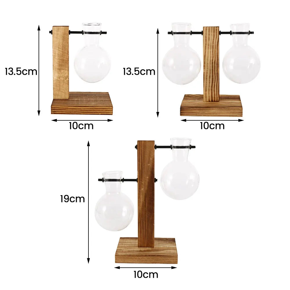 Glass Bulb Hydroponic Planter with Wooden Stand