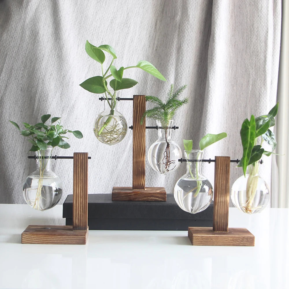 Glass Bulb Hydroponic Planter with Wooden Stand