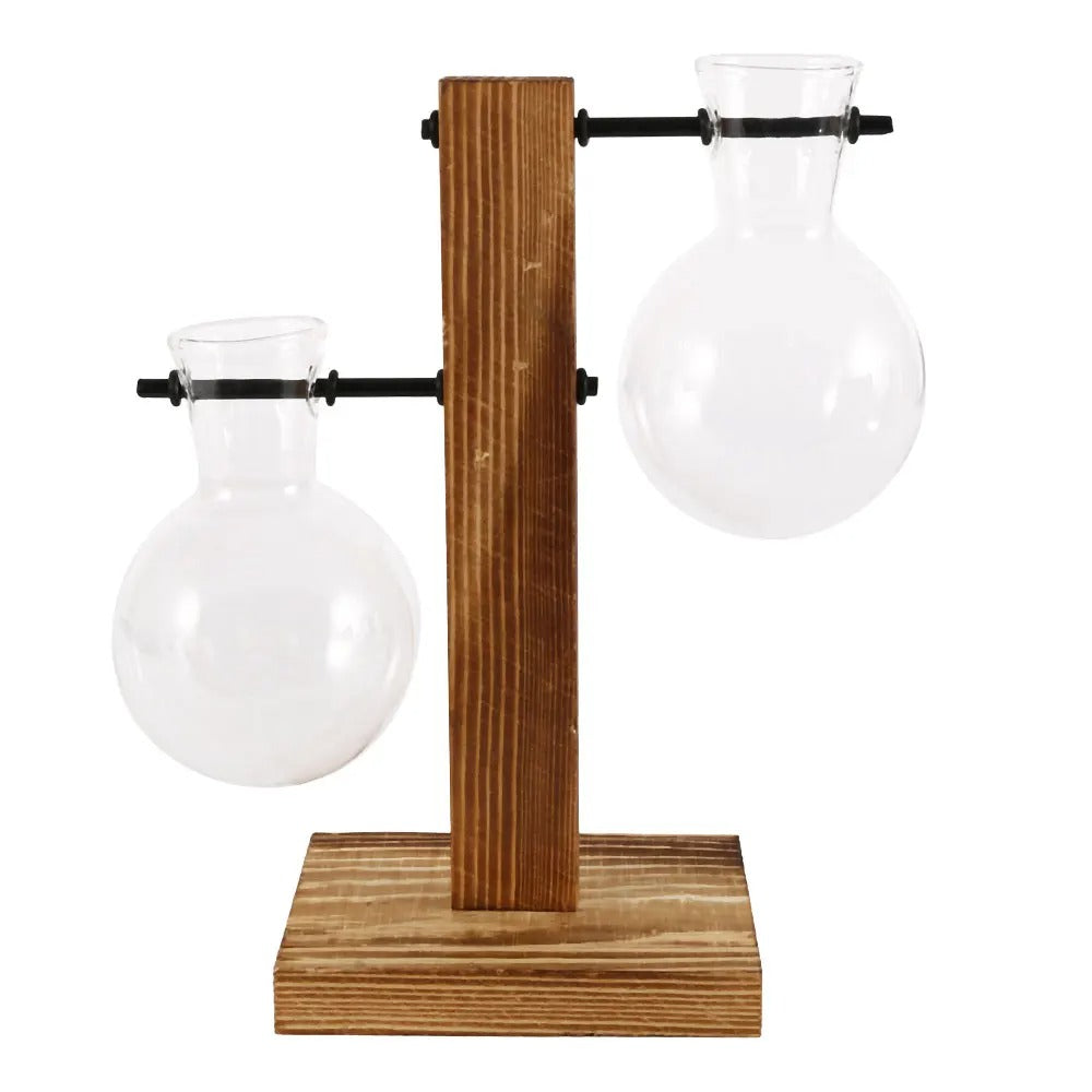 Glass Bulb Hydroponic Planter with Wooden Stand