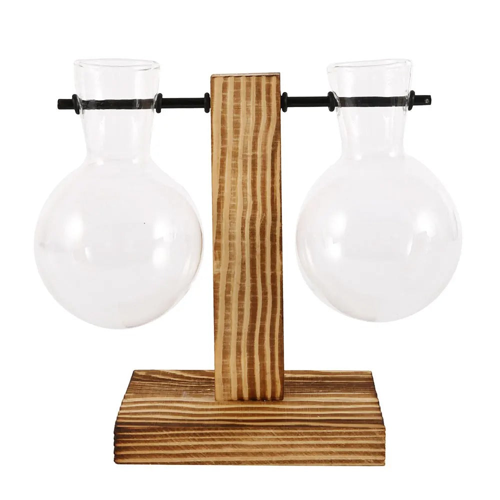 Glass Bulb Hydroponic Planter with Wooden Stand