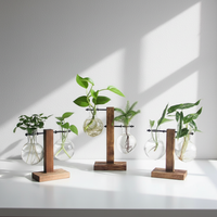 Glass Bulb Hydroponic Planter with Wooden Stand