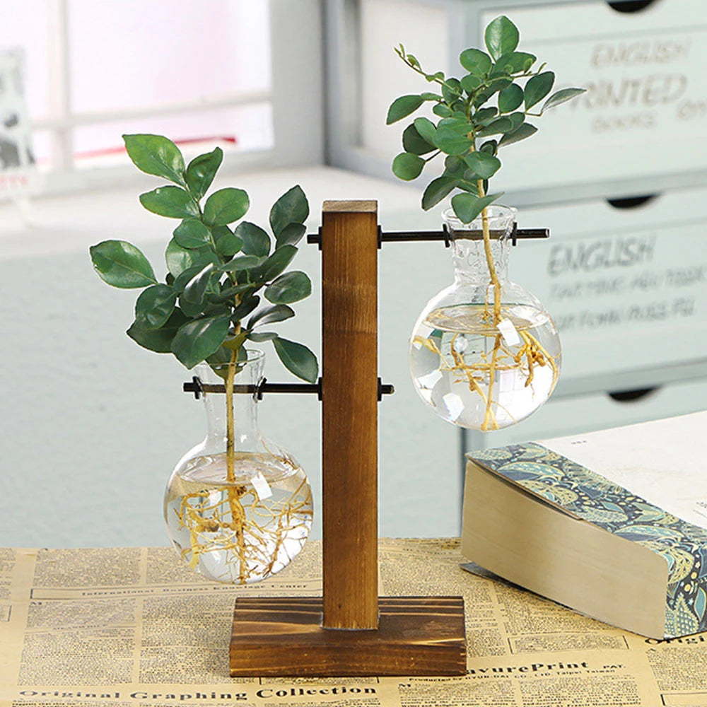 Glass Bulb Hydroponic Planter with Wooden Stand