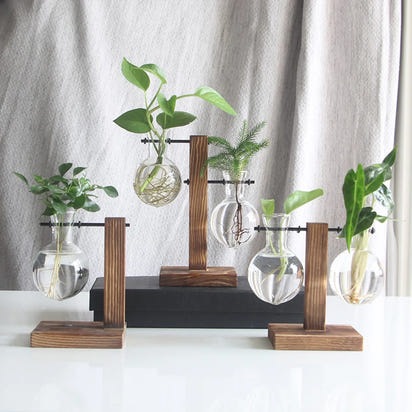 Glass Bulb Hydroponic Planter with Wooden Stand