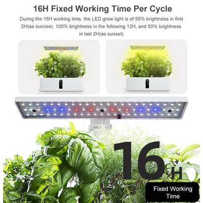 Indoor Smart Herb Garden Kit – LED Grow Light, Self-Watering Hydroponic Planter for Kitchen Counter
