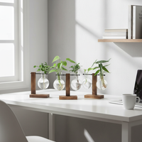 Glass Bulb Hydroponic Planter with Wooden Stand