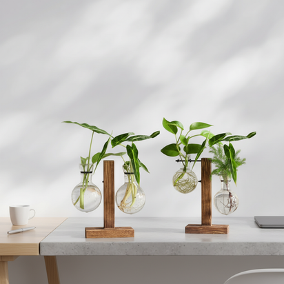 Glass Bulb Hydroponic Planter with Wooden Stand