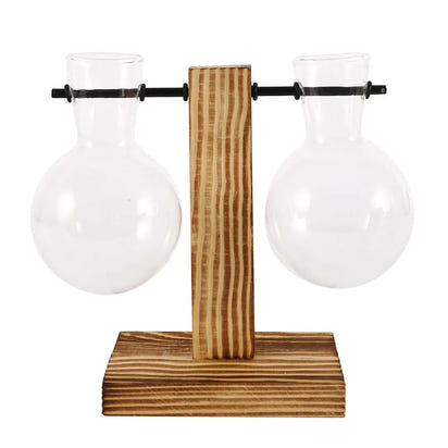 Glass Bulb Hydroponic Planter with Wooden Stand